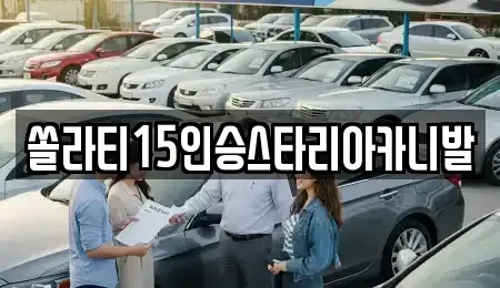 충청북도 충주시 직동 렌트카 전문 쏠라티15인승스타리아카니발