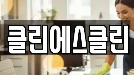클린에스클린