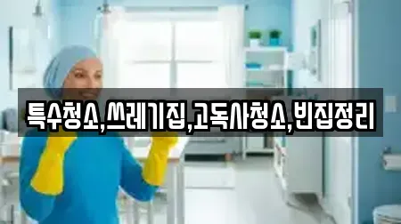 충청남도 홍성군 은하면 청소 연락처 6
