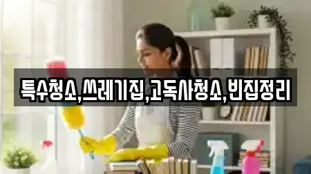 특수청소,쓰레기집,고독사청소,빈집정리