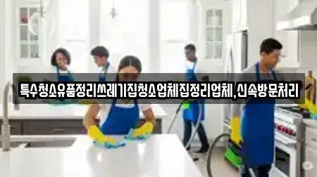 특수청소유품정리쓰레기집청소업체집정리업체,신속방문처리