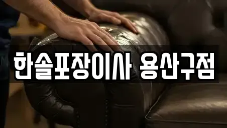 한솔포장이사 용산구점