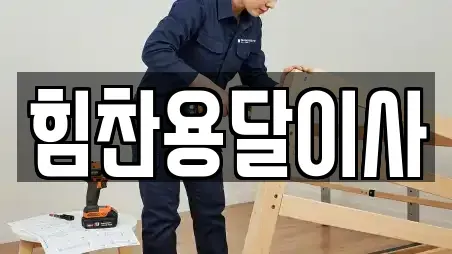 힘찬용달이사